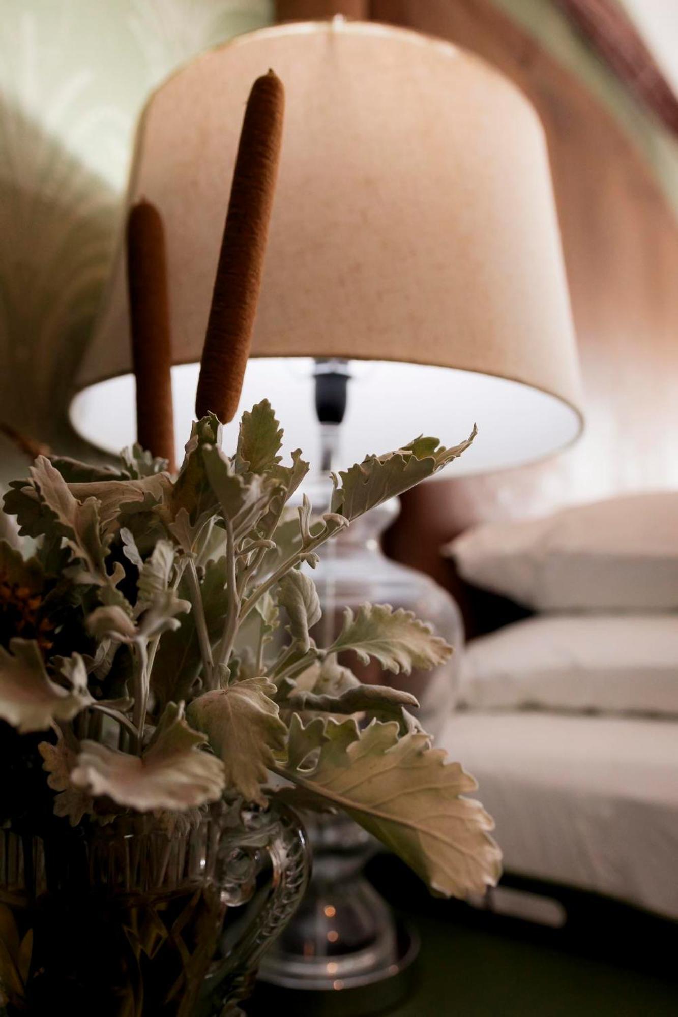 Sweetfontein Boutique Farm Lodge Britstown Bagian luar foto